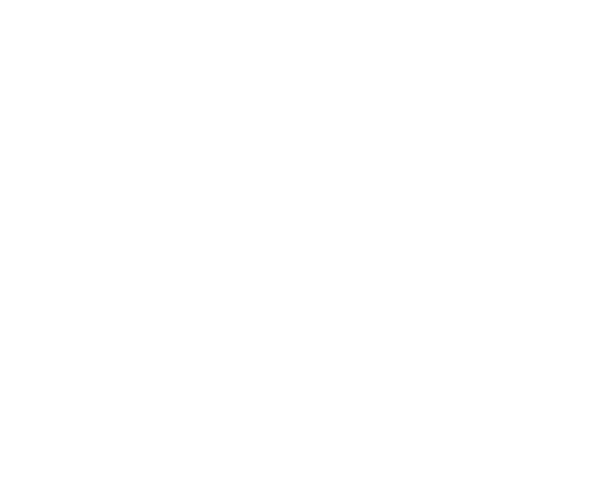 Mag.a Silvia Moosmaier MA